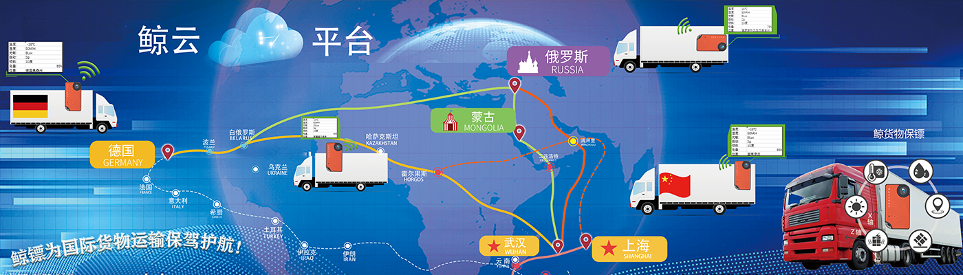 鯨鏢遍布世界各地